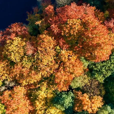 דירה Parkresidenz 2 *