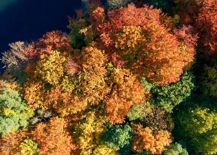 شقة Parkresidenz 2 *